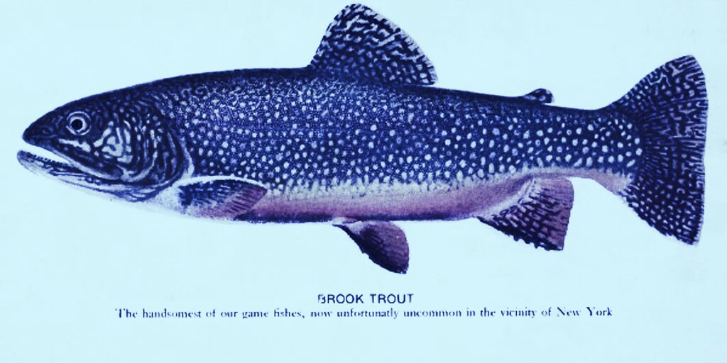 Divided we stand, united we fall. September 18, 2018. - Decrypt