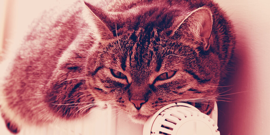 Power to the people - Decrypt