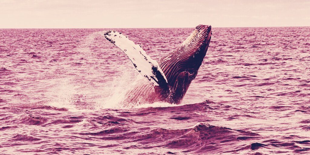 Number of Bitcoin Whales Hits All-time High