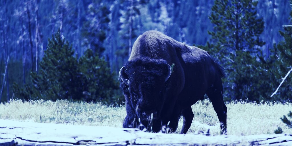 Crypto Exchange Coinbase Buying Bison Trails