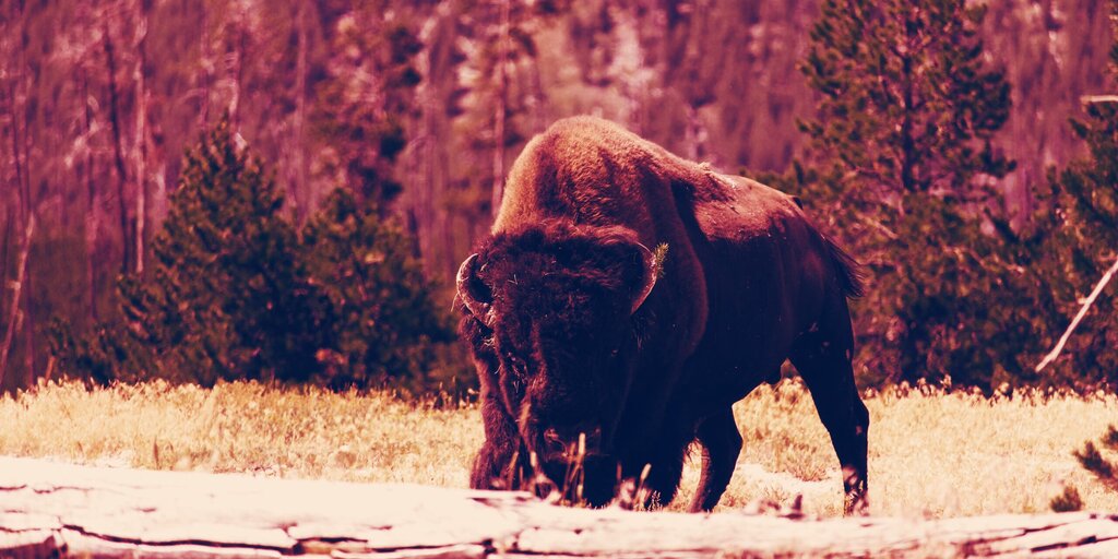 crypto-exchange-coinbase-buying-bison-trails