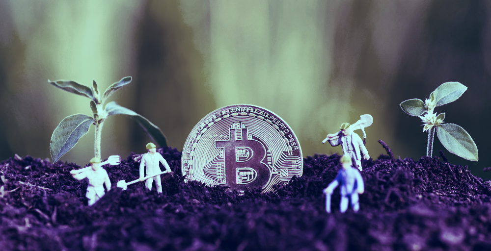 Bitcoin joins in DeFi yield-farming frenzy - Decrypt