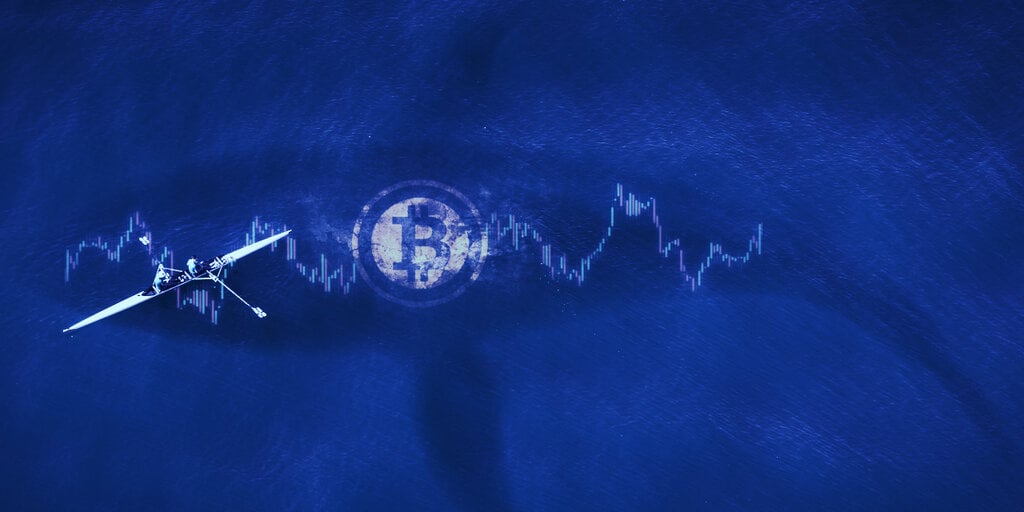 Number of Bitcoin Whales Hit All-Time High As Market Bounces Back
