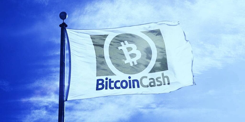 Kim Dotcom 'Officially' Joins the Bitcoin Cash Movement