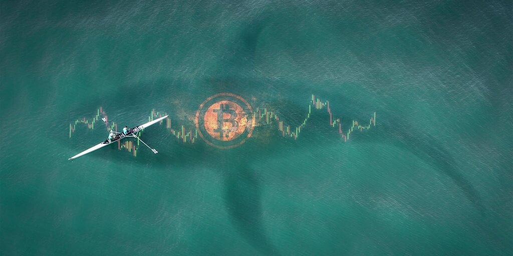 Ancient Bitcoin Whale Emerges After a Decade: What Does It Mean for the Market?