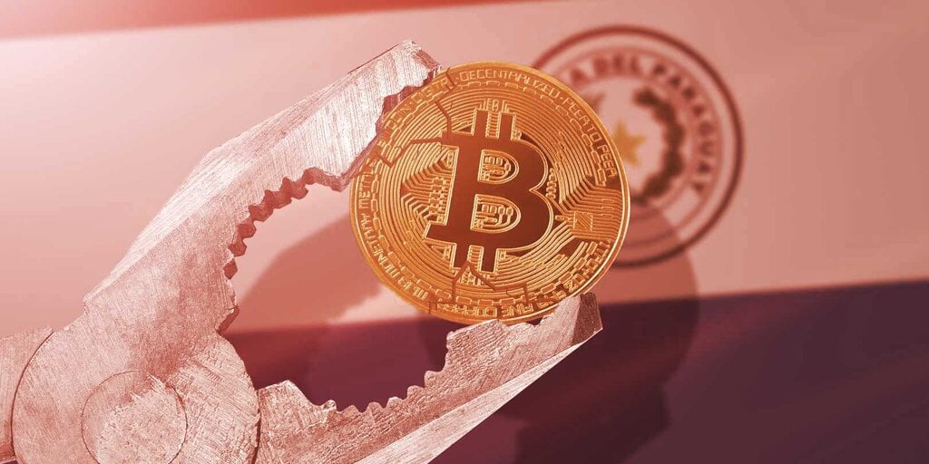 Leaked Draft Shows What’s Inside Paraguay's Proposed BTC Law