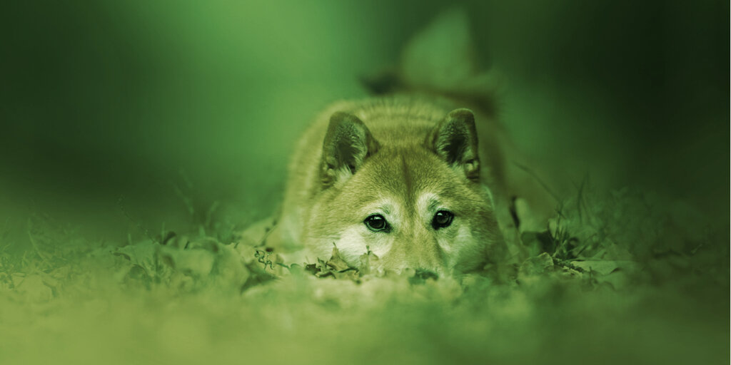 Doge Day Was a Dud, Dogecoin Price Dips 20% - Decrypt