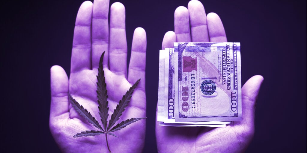 Investors in Paragon's $12 Million Cannabis Crypto ICO Will Finally Get Some Money Back - Decrypt