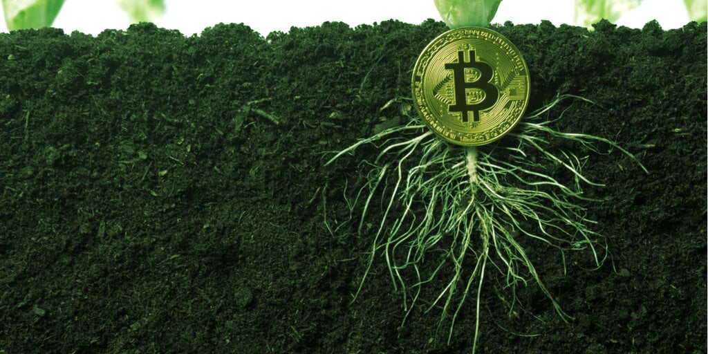 What Is Taproot, the Proposed BTC Upgrade?