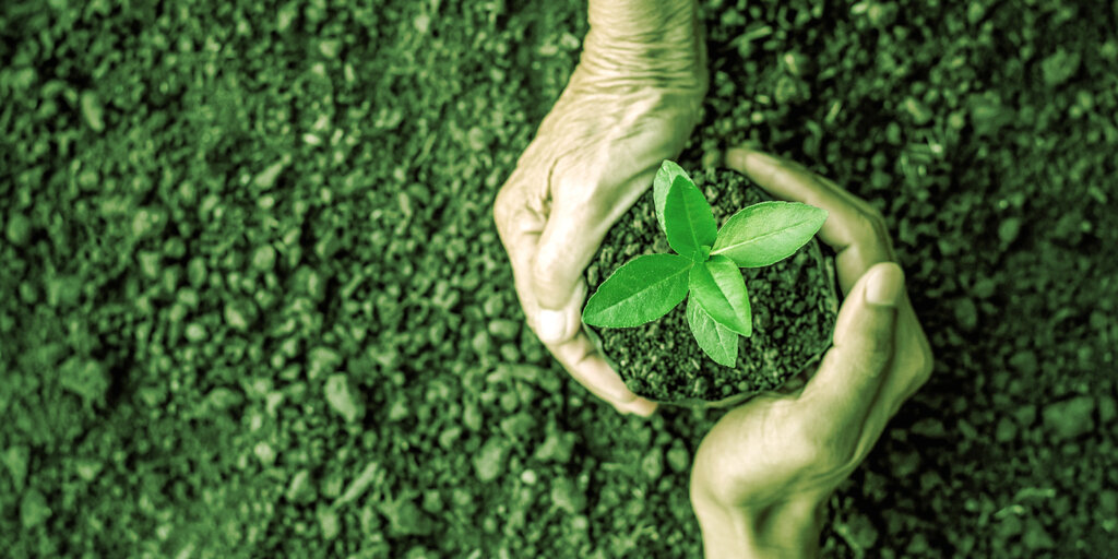 WeWork Founder Raises $70M for Carbon Credit Crypto Project, a16z Leads Round