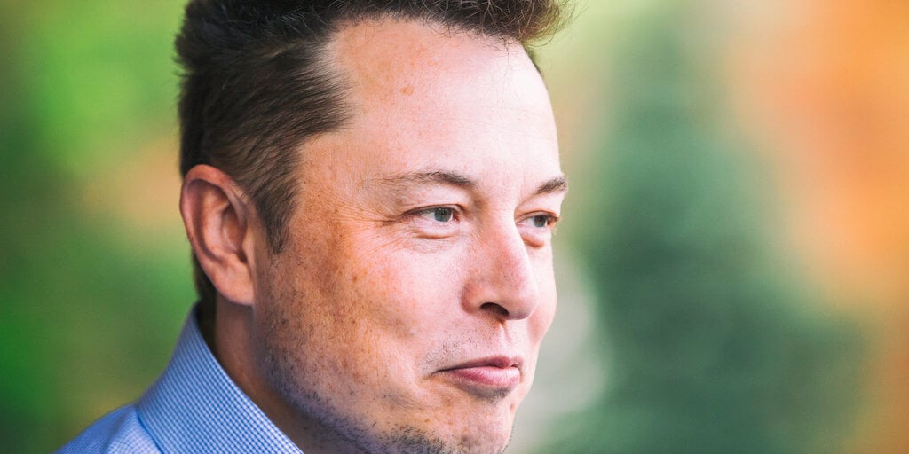 Dogecoin Pumps As Elon Musk States Tesla ‘Ought to Allow’ Purchases With Meme Coin