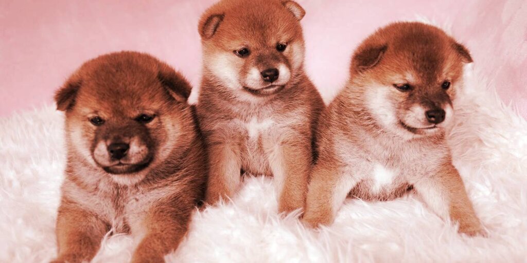 The top dogs in the meme coin stack, Dogecoin and Shiba Inu, have swapped…