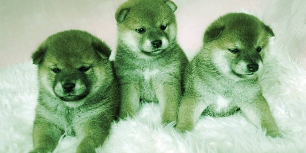 Meme Coin Pack Flocks to Baby Doge as Dogecoin, SafeMoon and SHIB Slip