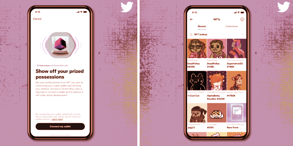 Non-Fungible Token (NFT) Collection - Twitter Launches NFT Profile Pic Verification for Some iPhone Users