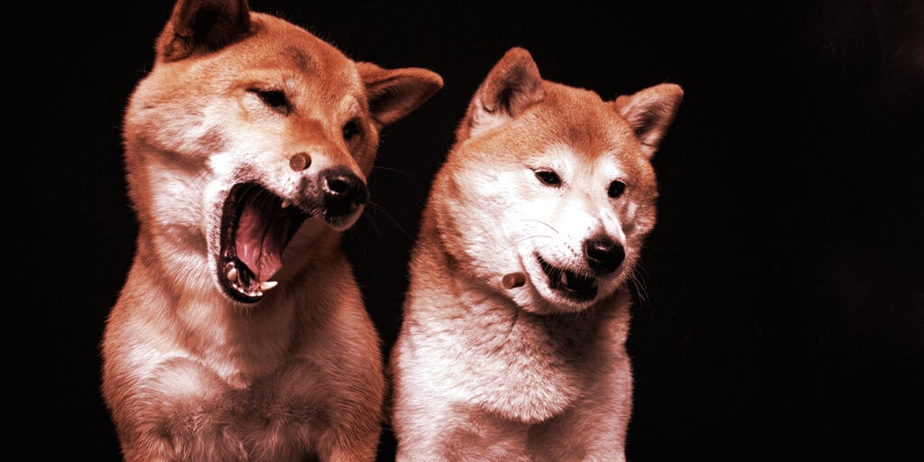 two shiba inus gID 4 Shiba Inu Is Rebounding Faster Than Dogecoin After Crypto Crash
