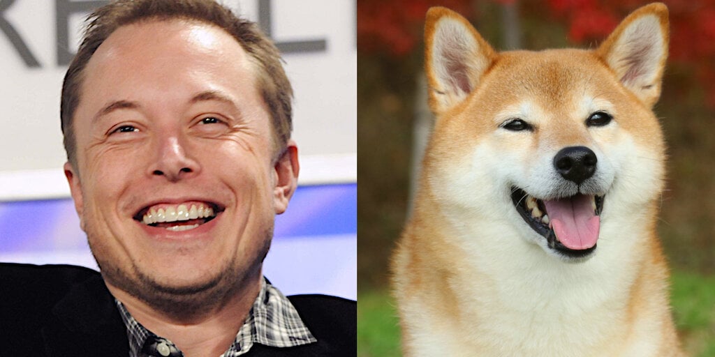 Dogecoin Down 8% as Musk’s Twitter Hype Fades - Decrypt