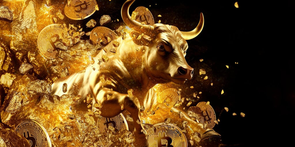 Is Bitcoin Poised for One other Bull Run? Consultants Weigh In