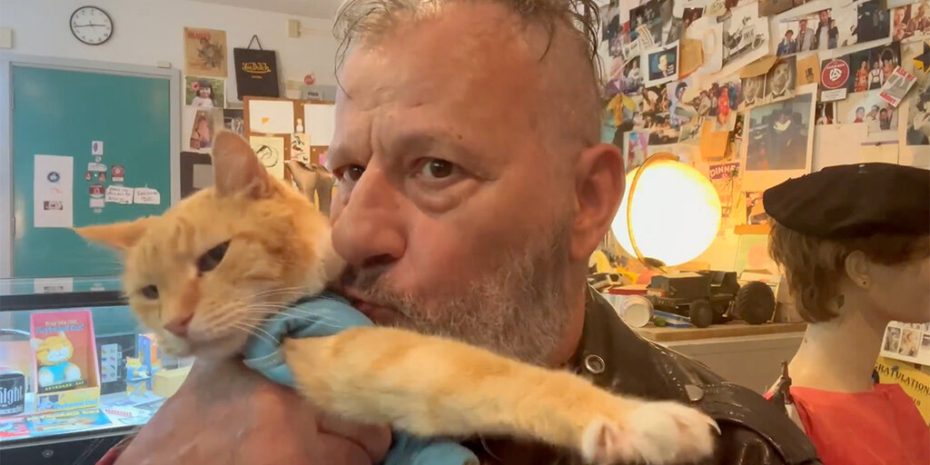 Keyboard Cat Meme Coins Go Legit With Official License - Decrypt