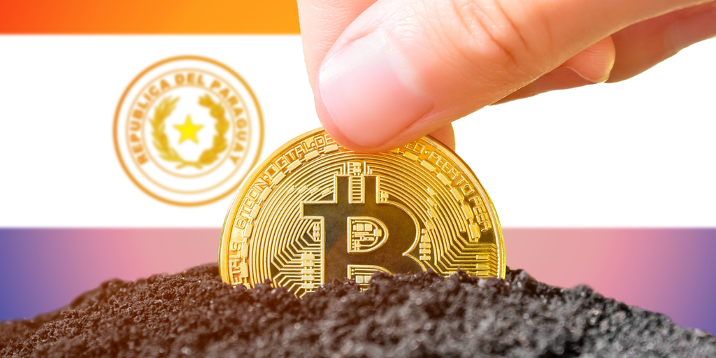 Bitcoin Miner Hive Digital Reveals $60 Million Paraguay Expansion Push