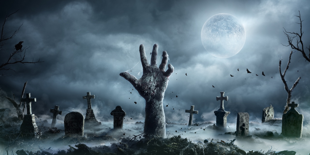 Last year’s viral memes coins as Solana and Ethereum Gain gained