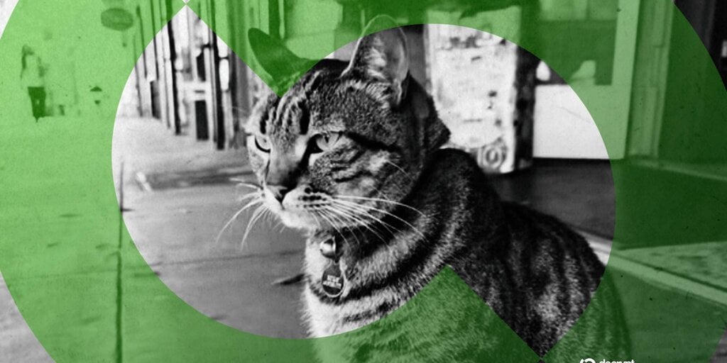 Bodega Cat Allegedly Killed by Self-Driving Car Gets Second Life via Meme Coins