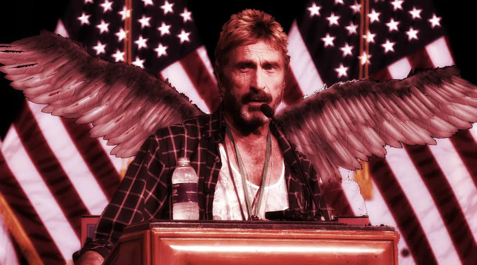John McAfee was running for president on a platform of....something. 