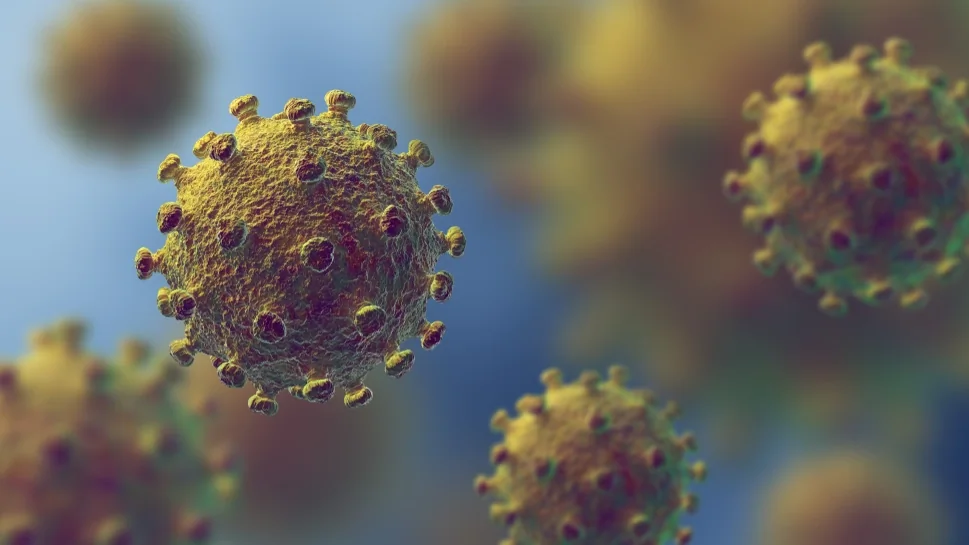 a visual representation of the coronavirus
