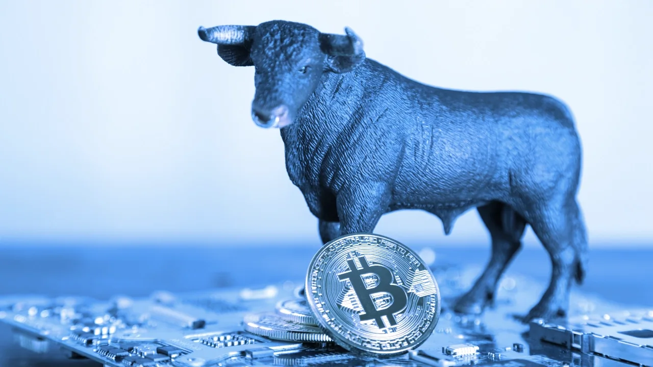 Bitcoin has been on a historic bull run. Image: Shutterstock