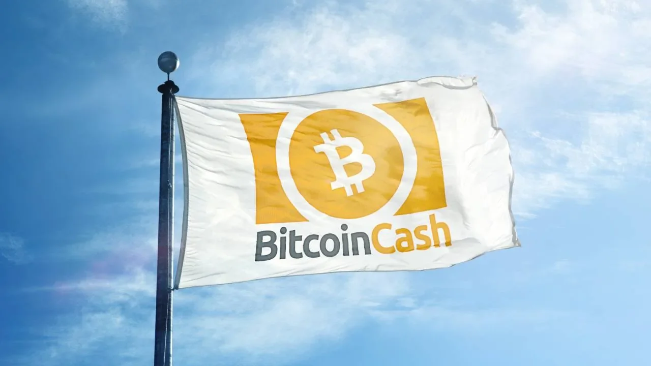 Flag displaying Bitcoin Cash logo