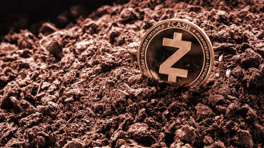 Zcash community members see a mammoth election ahead. Image: Shutterstock