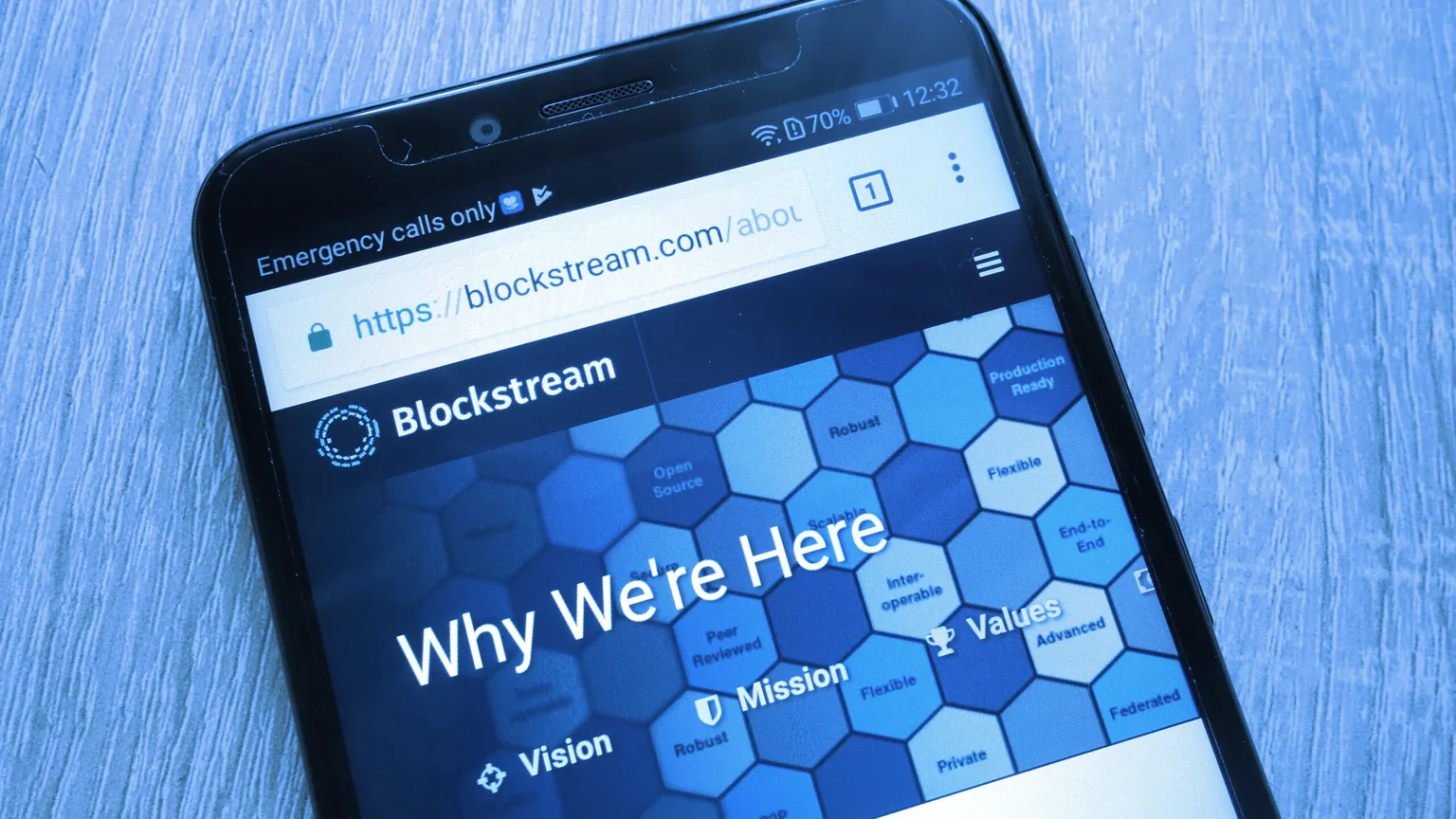 Blockstream is a blockchain development company founded in 2014. Image: Shutterstock