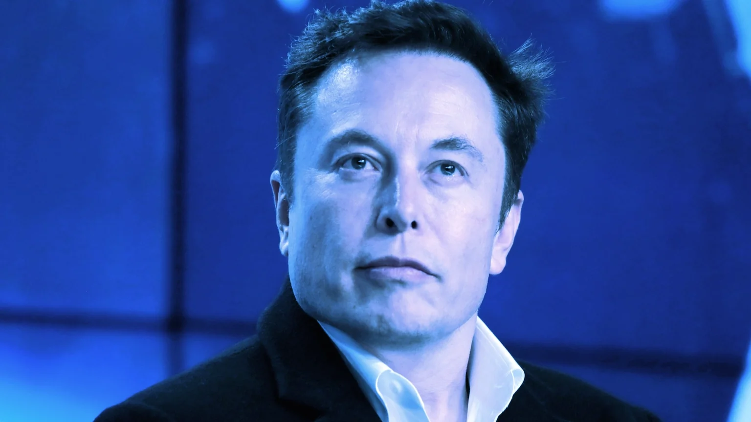Elon Musk, CEO of Tesla. Image: Shutterstock