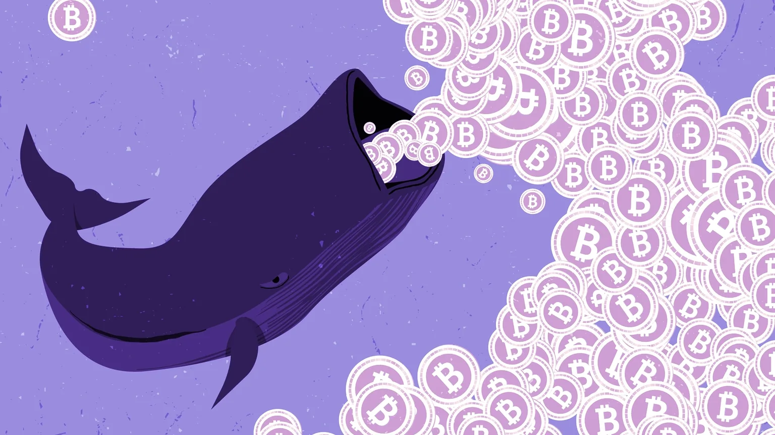 Bitcoin whales. Image: ShutterStock