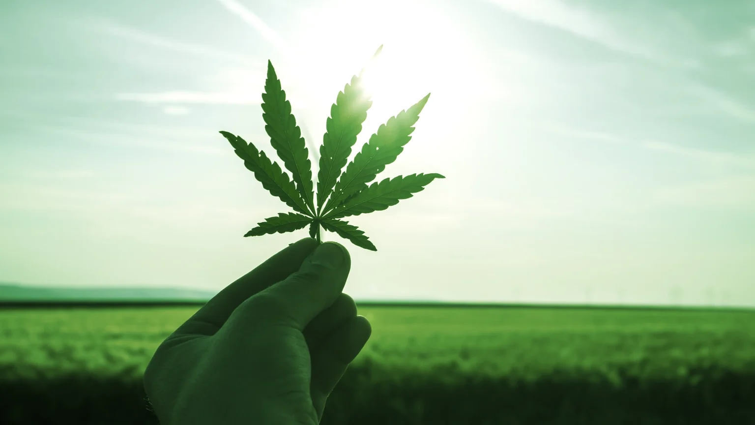 Cannabis in the morning. Image: Shutterstock