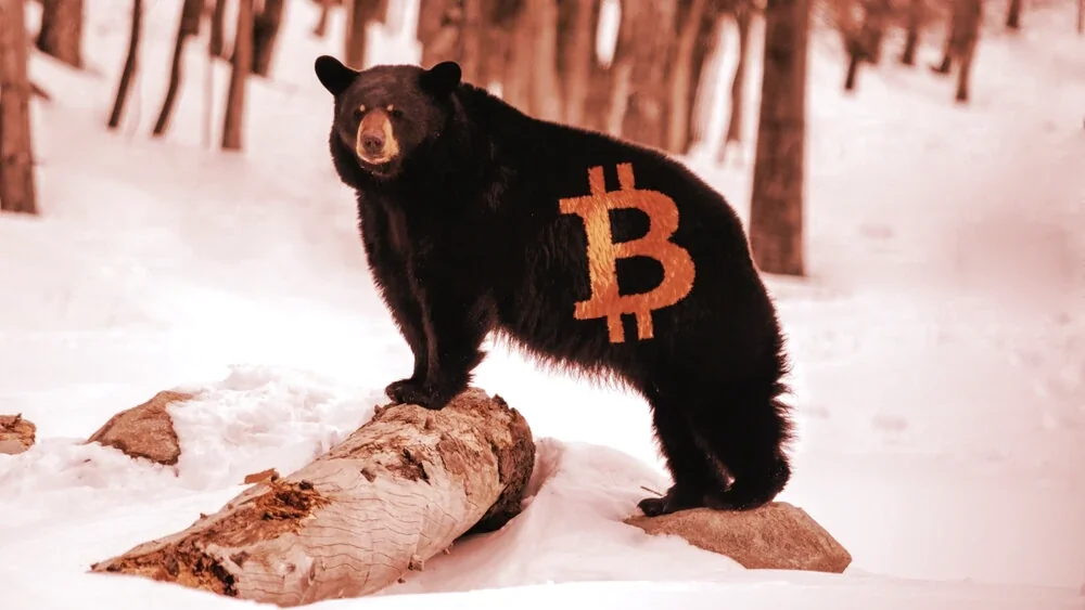 A Bitcoin bear. Image: Shutterstock.