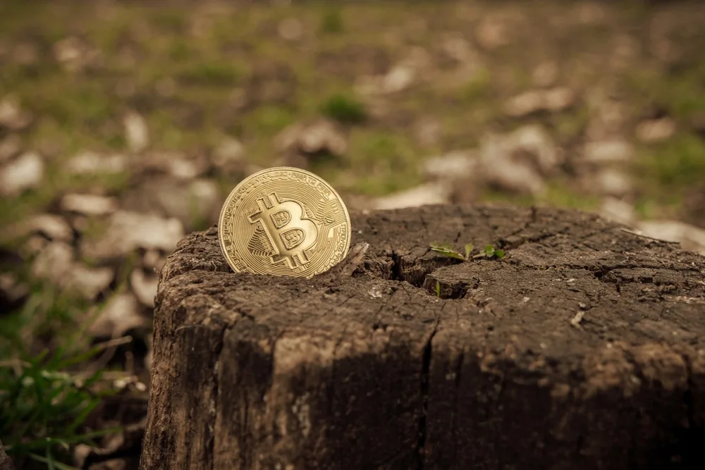Bitcoin and the environment