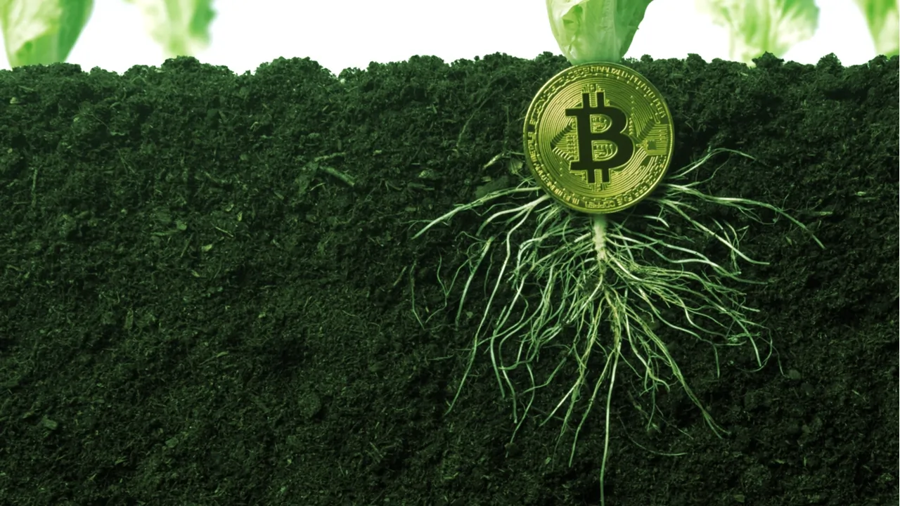Taproot is an extensive update to Bitcoin. Image: Shutterstock