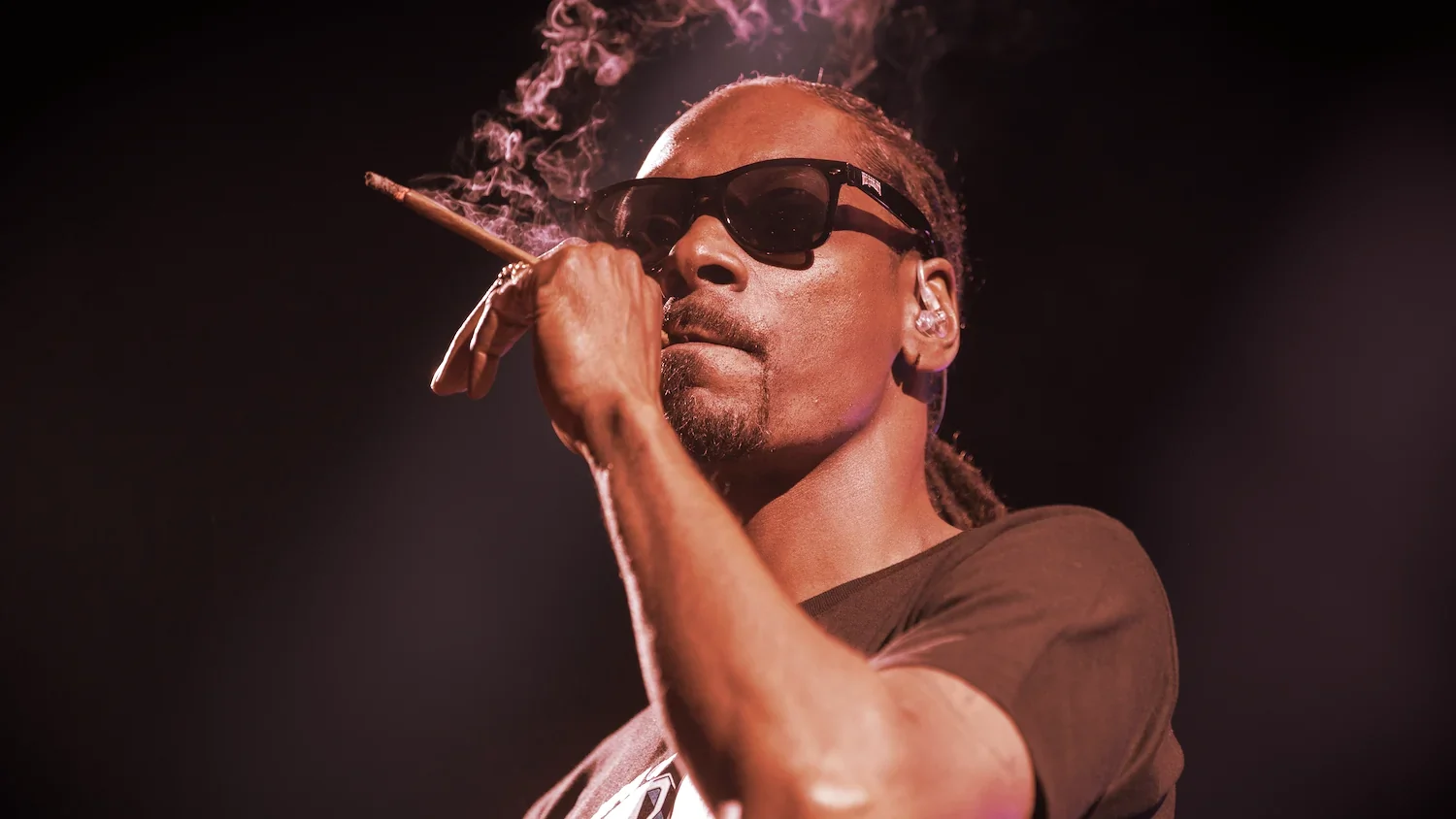 Snoop Dogg is a serious NFT collector. Image: Shutterstock