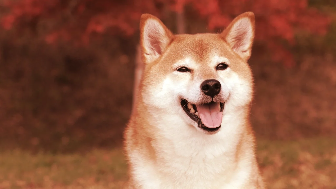This Shiba Inu dog has now inspired many meme coins. Image: Shutterstock