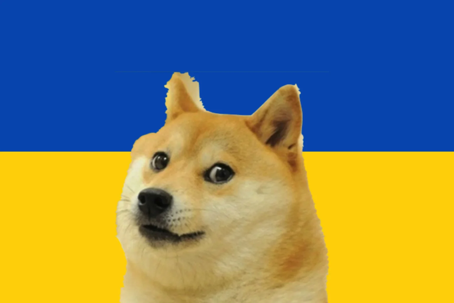 Dogecoin in Ukraine. Image: Shutterstock