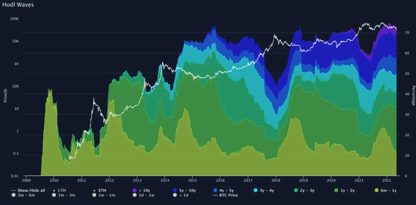 Gráfico que muestra el número de poseedores de bitcoins a largo plazo a lo largo del tiempo