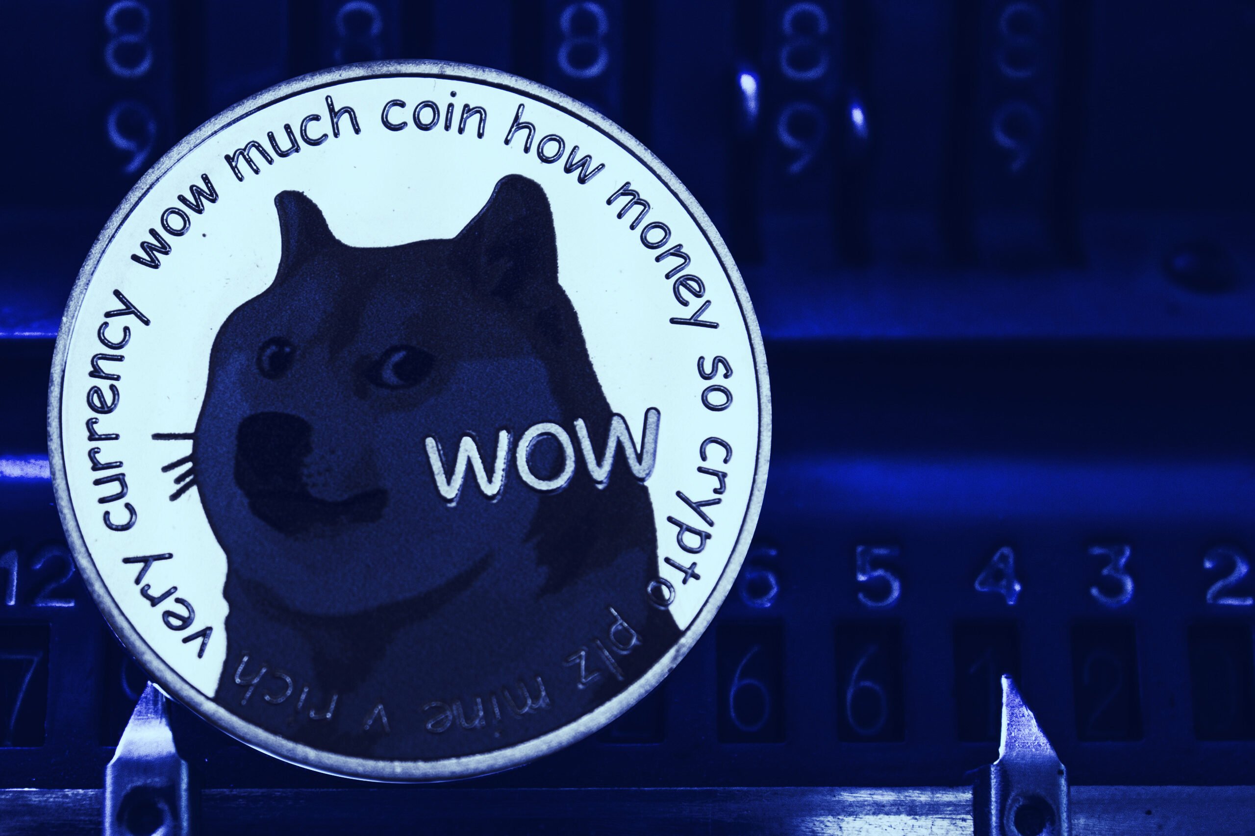 Dogecoin Price Musk : Pww0jdcbld0wjm : The price of the ...