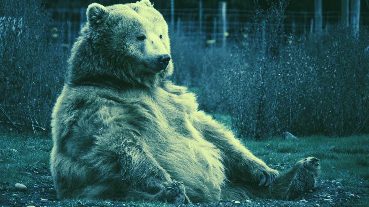 Brother Bing’s Guide to Surviving the Crypto Bear Market