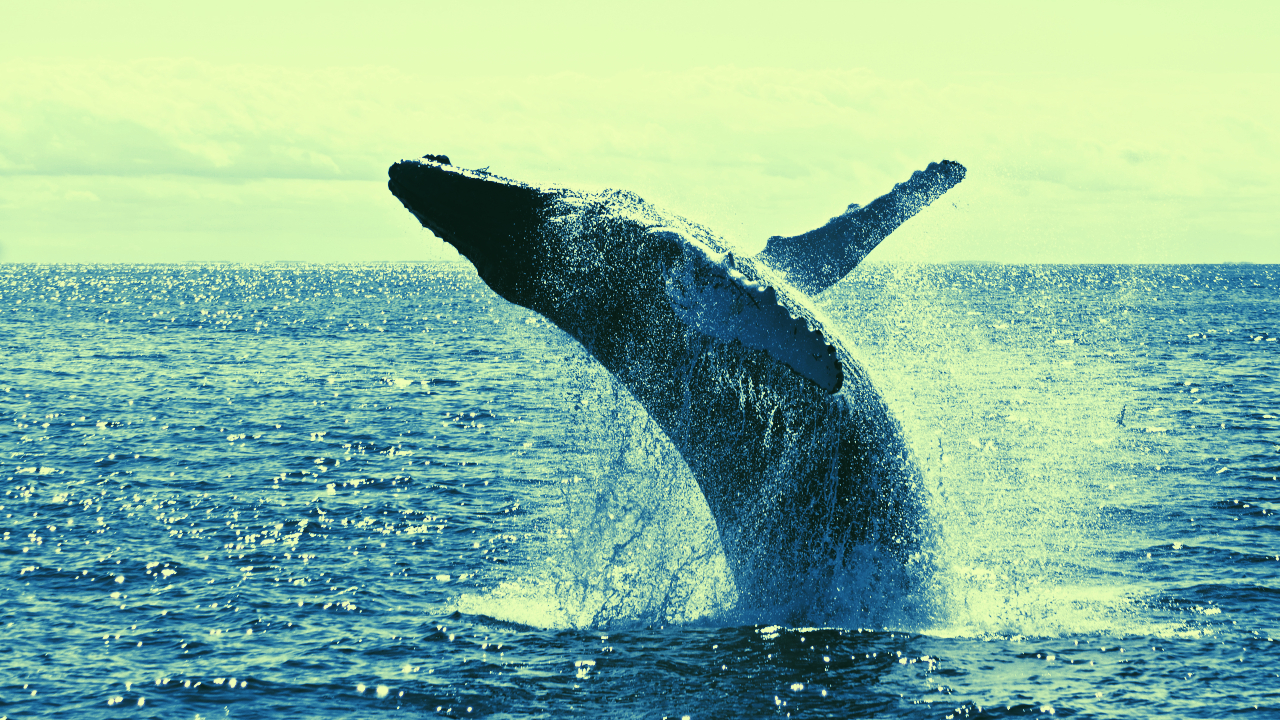 Who Are Bitcoin Whales and How Do They Trade? - Decrypt