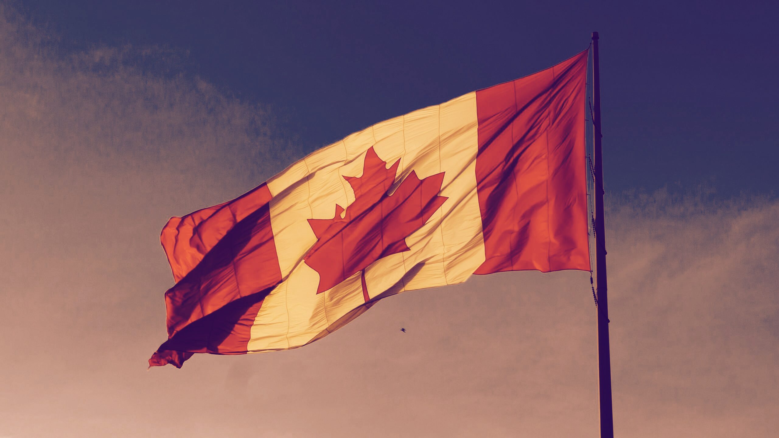 Royal Bank of Canada to launch cryptocurrency exchange - Decrypt