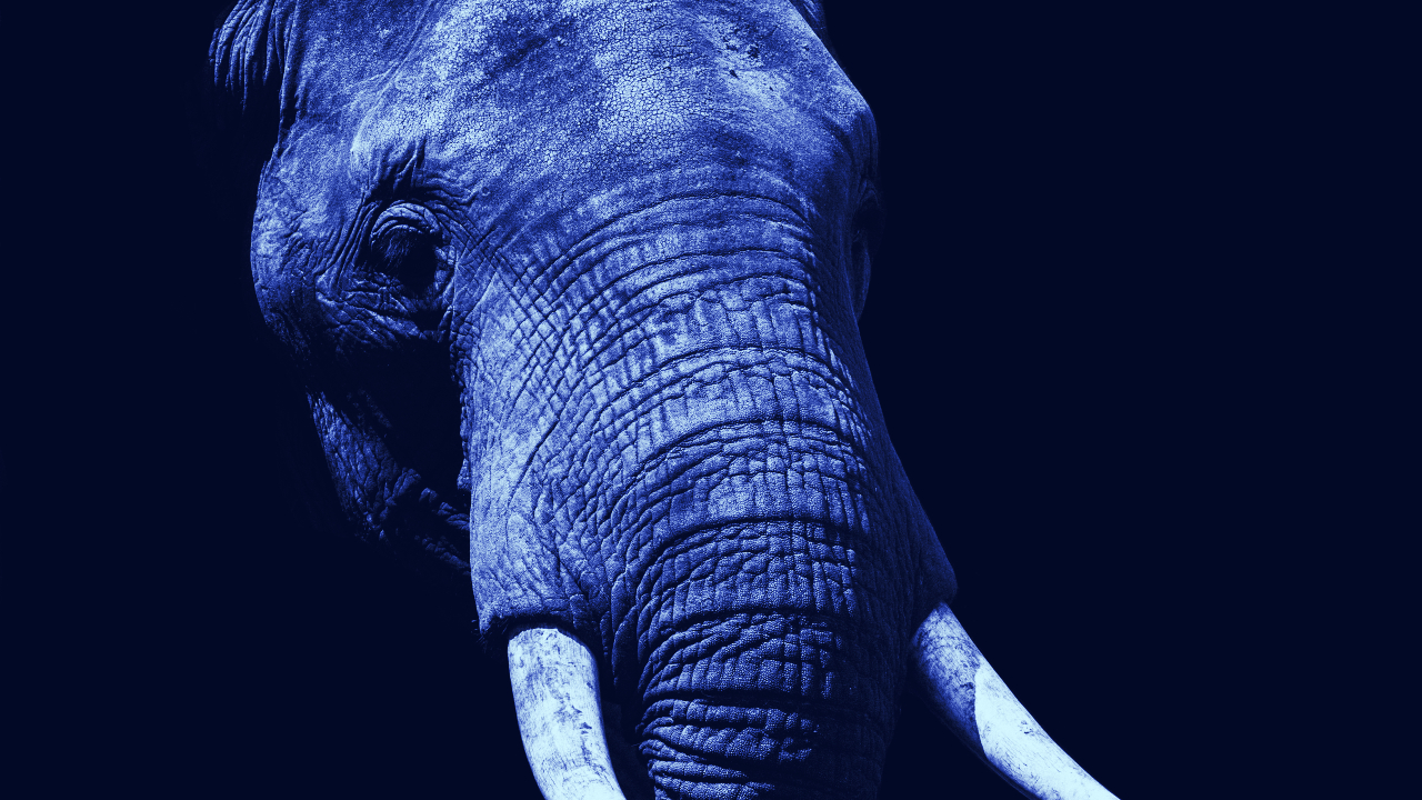 The elephant in the room at San Francisco Blockchain Week - Decrypt