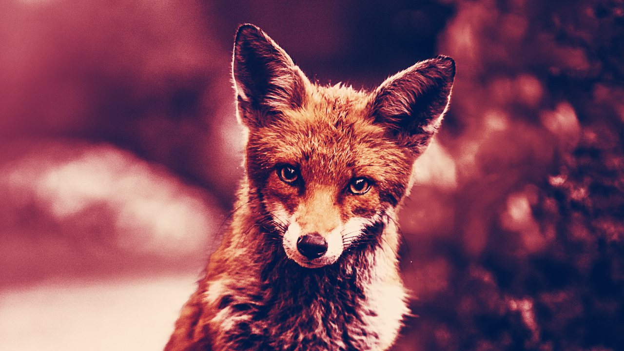 ShapeShift releases FOX token, enables commission-free trading - Decrypt