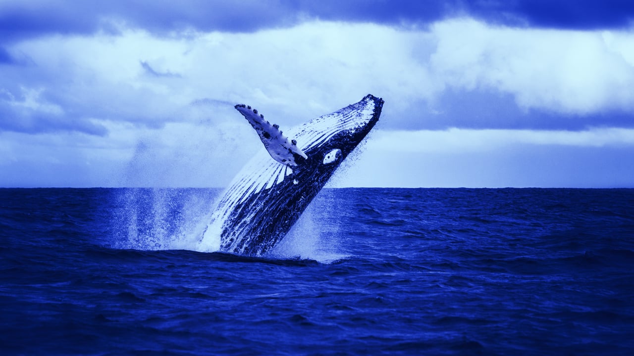 Bitcoin’s Biggest Whales are in Decline