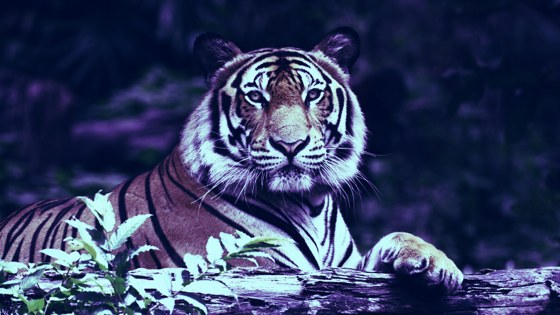 Joe Exotic Launches Tiger King Cryptocurrency