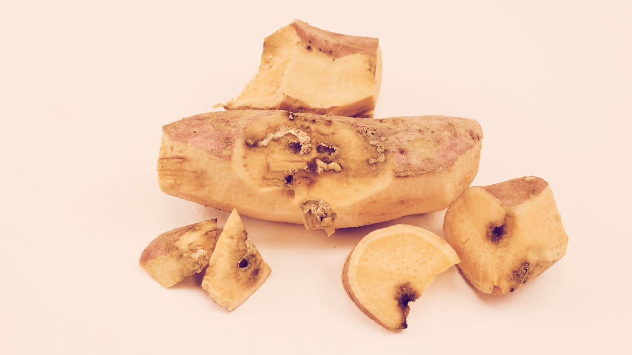 A bug in the yams. Image: Shutterstock